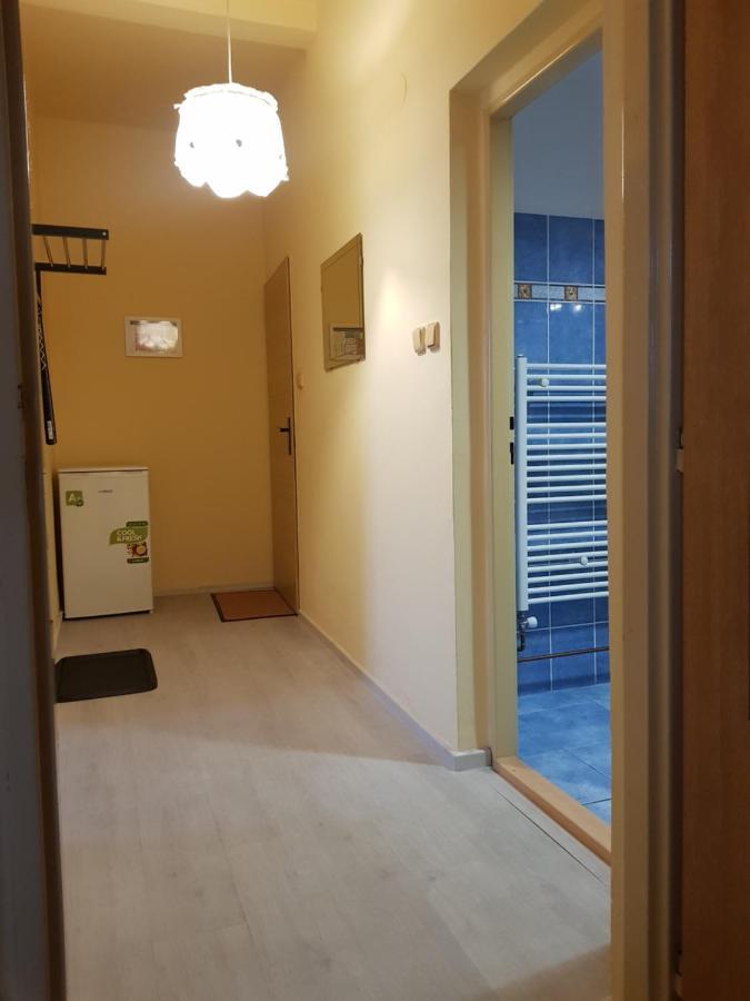 Pension Elektra Mariánské Lázně المظهر الخارجي الصورة