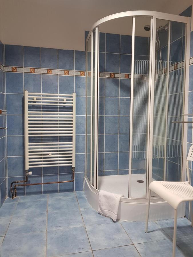 Pension Elektra Mariánské Lázně المظهر الخارجي الصورة